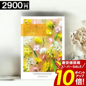 カタログギフト ＼楽天スーパーSALE★ポイント10倍／ 【2900円コース】 【送料無料】 テイクユアチョイス 内祝い お祝い お返し グルメ 出産内祝い 結婚内祝い 香典返し 誕生日 快気祝い お礼 お得 ギフトカタログ ブック TAKE YOUR CHOICE ハーモニック お歳暮 愛媛百貨店