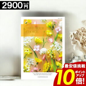 カタログギフト ＼ポイント10倍／ 【2900円コース】 【送料無料】 テイクユアチョイス 内祝い お祝い お返し グルメ 出産内祝い 結婚内祝い 香典返し 誕生日 快気祝い お礼 お得 ギフトカタログ ブック TAKE YOUR CHOICE ハーモニック お歳暮 愛媛百貨店