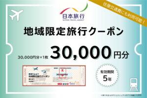 【ふるさと納税】 長野県松本市 日本旅行 地域限定旅行クーポン30,000円分 | 長野県 松本市 まつもと 長野 旅行 クーポン お出かけ 宿泊 お得 観光