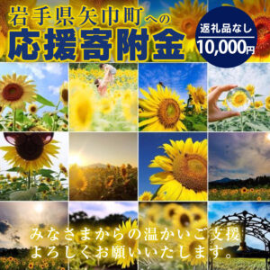 【ふるさと納税】岩手県矢巾町（やはばちょう）応援寄附金（※返礼品なし）10,000円/矢幅 矢巾 観光地応援 支援 応援 国内旅行 教育 高齢者 医療 環境 防災 スポーツ 緑化 泊り お泊り 便利 お得 ホテル