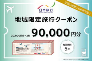 【ふるさと納税】 長野県松本市 日本旅行 地域限定旅行クーポン90,000円分 | 長野県 松本市 まつもと 長野 旅行 クーポン お出かけ 宿泊 お得 観光