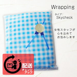 セット割り120円OFF／配送チェンジupチケット《配送を宅急便にチェンジ750円》と《ラッピング_type_skycheck／220円分》のお得セット！メール便配送限定の商品のお届け方法を宅急便に変更できます／配達日時の指定・プレゼント・ギフト配送のご用途の時などにご利用下さい